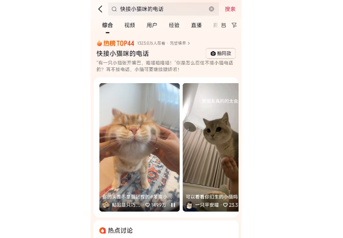 小猫电话“喵喵”求接听