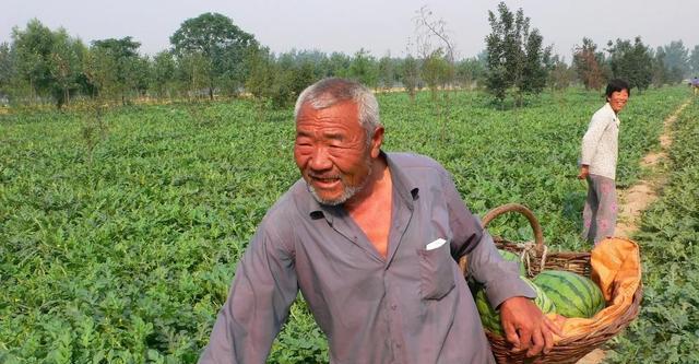 微信怎么验证身份_微信如何人脸识别认证身份_身份证20岁的