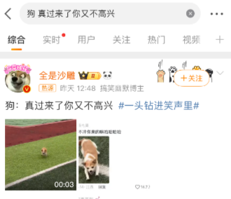 狗真过来了你又不高兴