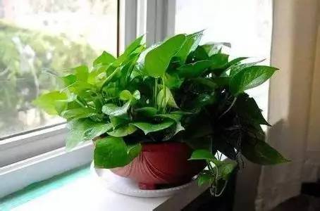 空调省电方法是真的吗_空调怎么样省电_空调省电王