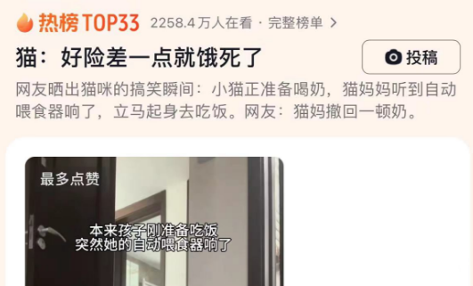 猫：好险差一点就饿死了