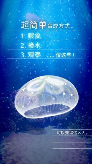 养育水母的治愈游戏(Jellyfish)