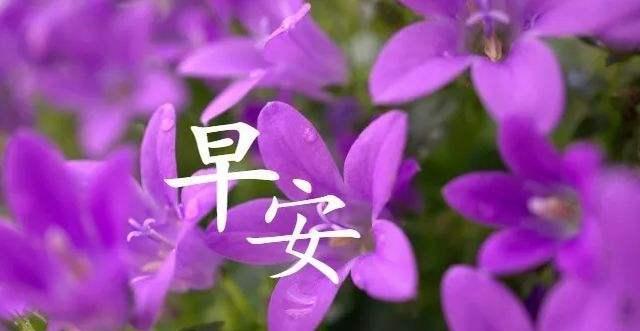 上海油画培训机构_上海油画培训班_培训油画上海班哪家好