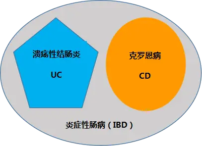 克罗恩病诊断书写_罗克恩病怎么确诊_克罗恩病/诊断