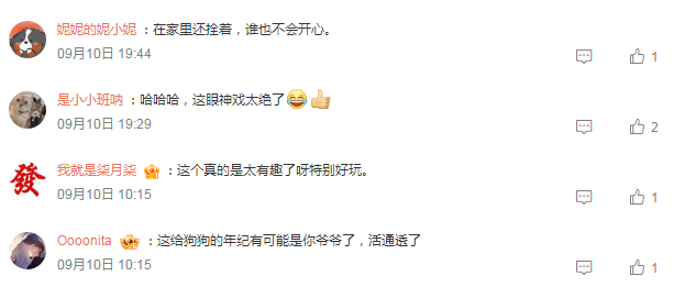 狗狗对主人撤回一个表情，包变脸的