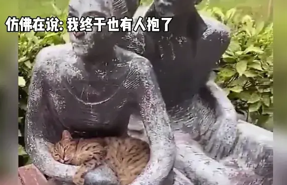 流浪猫在雕像怀里，撒娇打滚幻想自己也有人抱