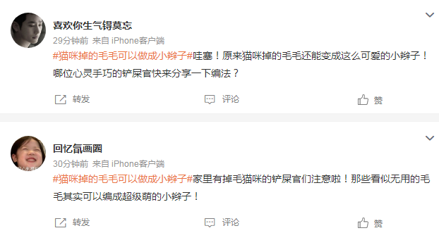 猫咪掉的毛毛可以做成小辫子，这也太可爱了