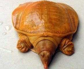 三星台式机重装系统步骤_三星系统重装系统步骤_怎么给三星电脑重装系统