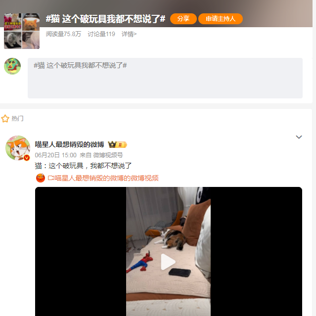 猫:这个破玩具我都不想说了