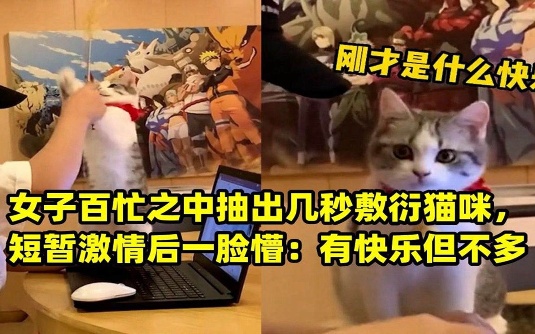 安卓系统开发学校_安卓开发学生管理系统_安卓系统开发需要学什么