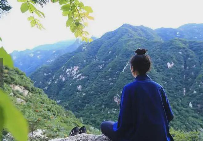 搜山虎草药功效_搜山虎草药图片与功效_草药搜山虎