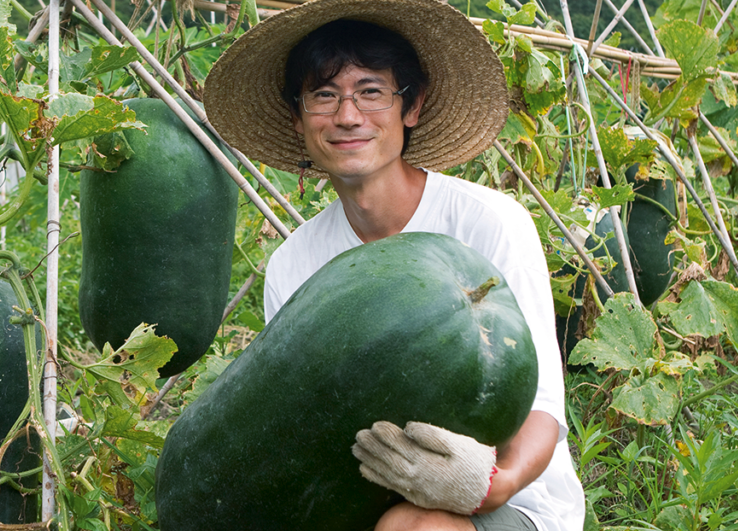 冬瓜如何浇灌定根水和缓苗水,需要注意什么?