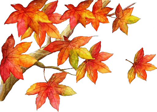 tx_log.dll_tx_log.dll_tx_log.dll