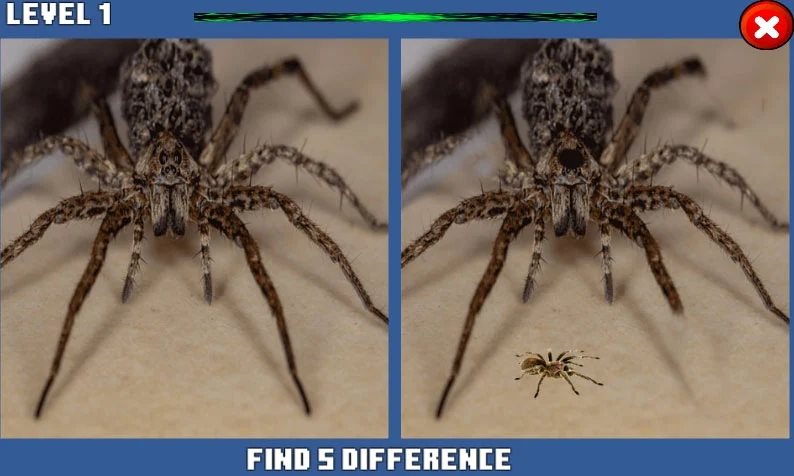 蜘蛛隐藏差异SpiderHidden Difference