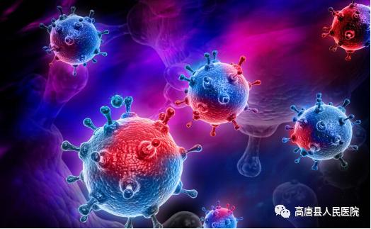 呼吸道合胞病毒病程_呼吸合胞病毒表现_呼吸道合胞病毒类型