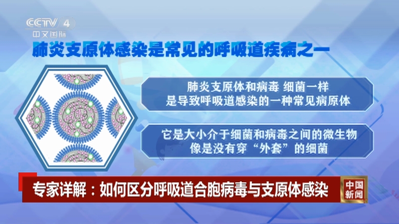 简述病毒分离培养方法_呼吸道合胞病毒/分离和提纯_分离病毒常用的方法