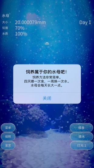 养育水母的治愈游戏(Jellyfish)
