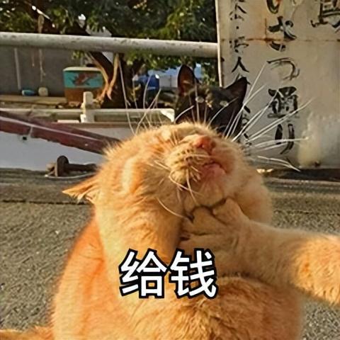 安装空调_安装师傅接单平台app_win10 安装qt5.8