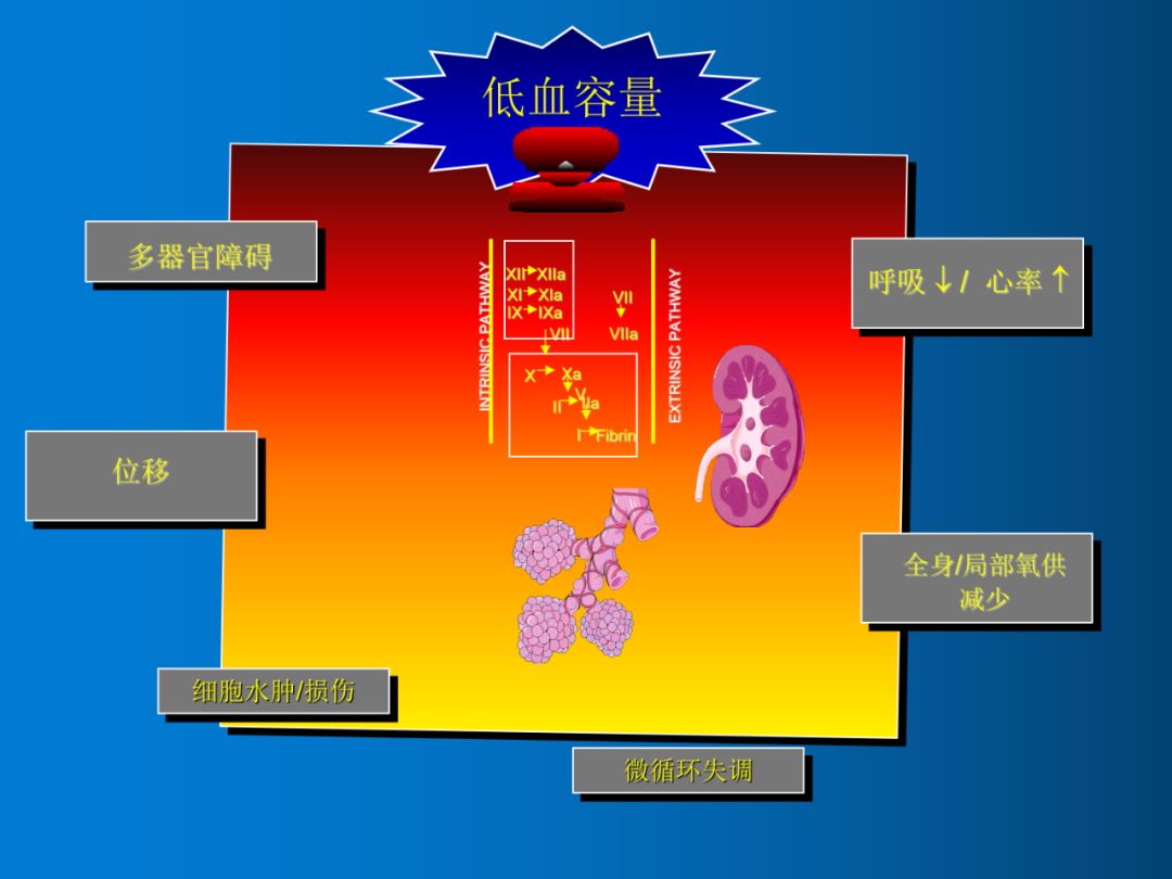 血液疾病症状_血液症状疾病有哪些_血液症状疾病都有哪些
