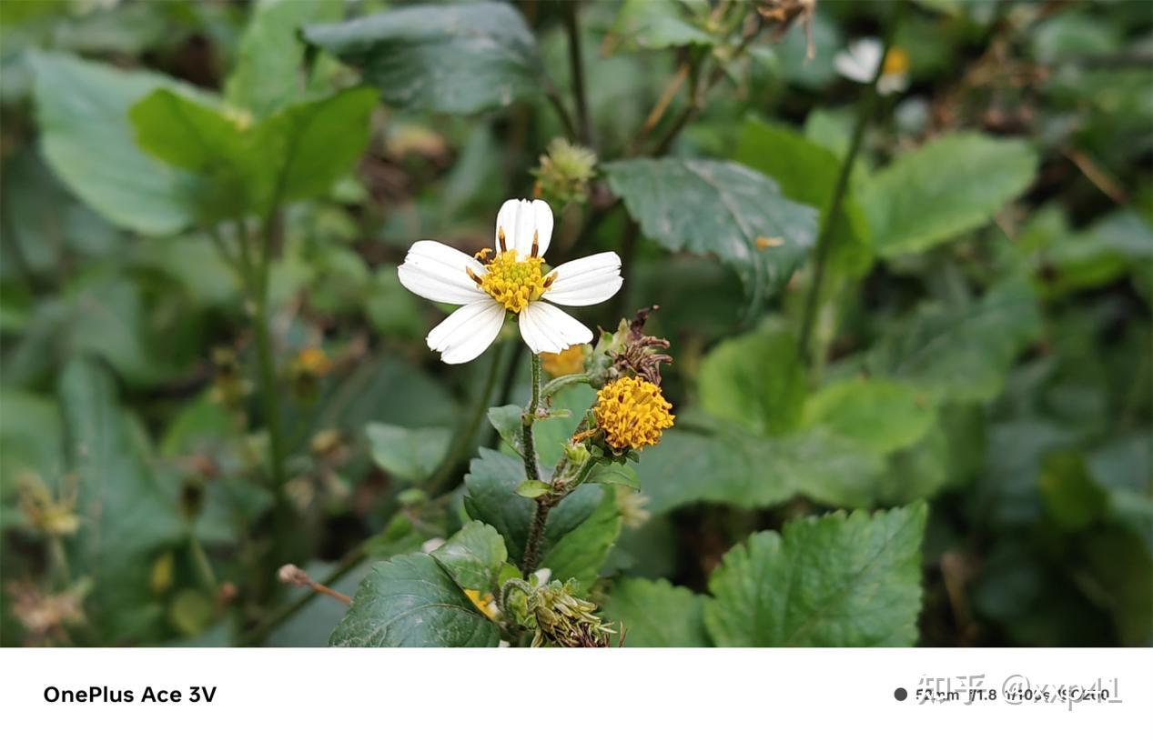 ecshop模板如何下载_ecshop专题模板_ecshop专题模板 下载