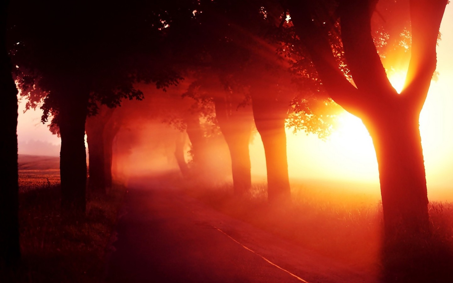 ialmdnt5.dll_ialmdnt5.dll_ialmdnt5.dll