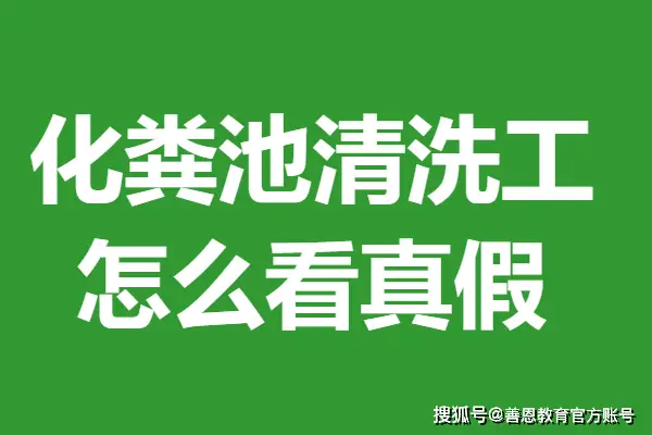 成绩查询身份验证_可以用身份证号查四级成绩吗_可不可以用身份证查考号