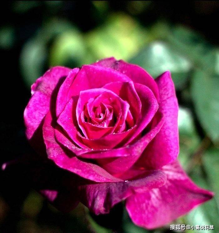 核对身份证号码和真实姓名_身份证姓名核对_核对证姓名身份怎么填