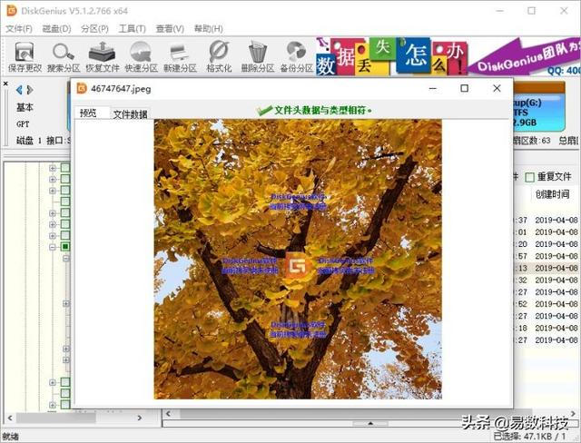 d盘文件系统raw_d盘文件系统为raw_磁盘文件系统raw