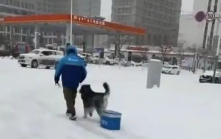 外卖小哥雪中狂追，看清前方物体后，恍然大悟果然是外卖撒手没