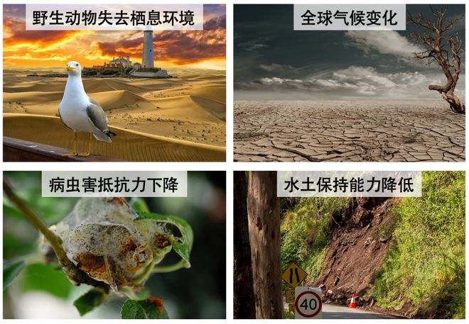 翻译ecosystems_ecosystem翻译_ecosystem