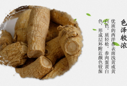 加拿大西洋参