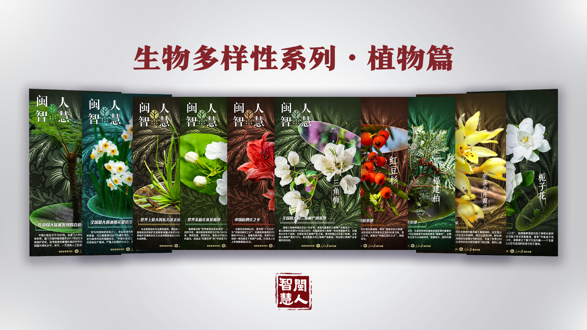 《闽人智慧日签》栏目两周年 | 九个关键词带你划重点！