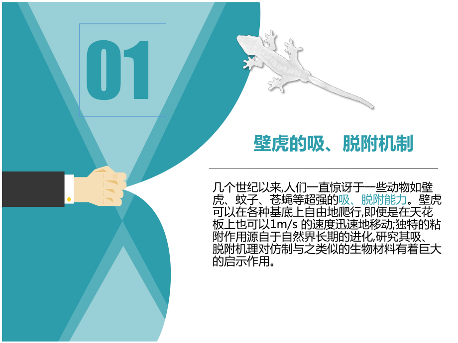 壁虎数据免root版app_壁虎数据软件_壁虎数据恢复破解版