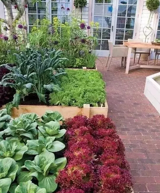 1503975270263227.jpg 6.jpg