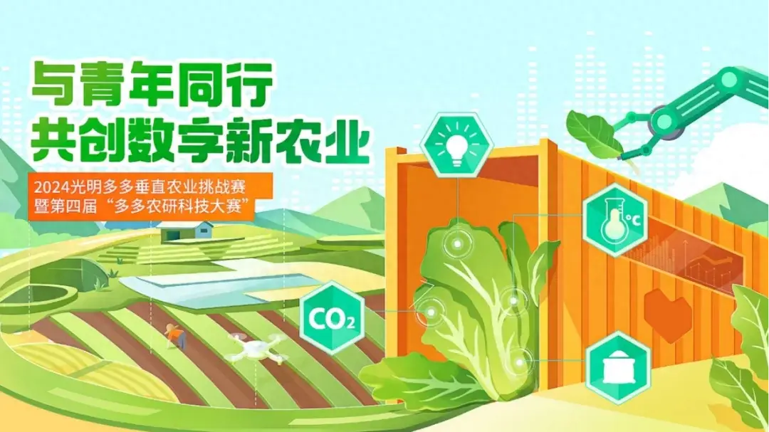 窗口字体大小_xp系统窗口字体大小_xp窗口文字大小