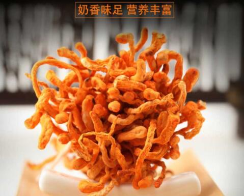 虫草花6.jpg