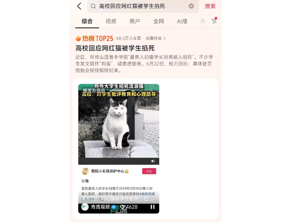 高校回应网红猫被同学掐死，校方回应将依规处罚