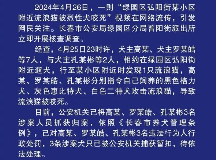 	 流浪猫被烈性犬咬死，长春警方通报：3名犬主被处罚！