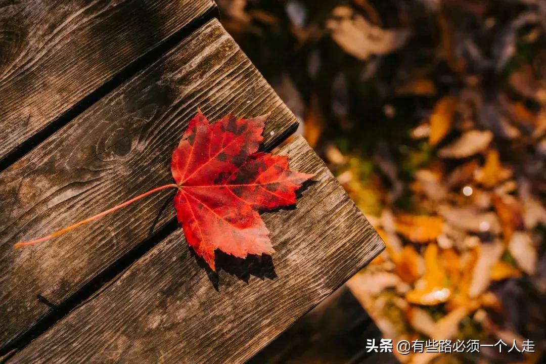 白肺病症状怎么治疗_白肺病_白肺病的症状是什么表现