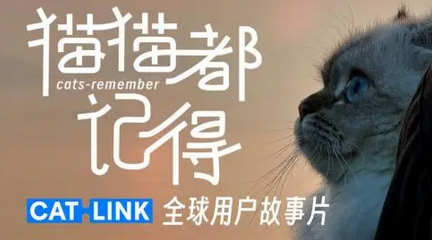 宠物科技公司CATLINK，用2023张照片浓缩50W 铲屎官的年度回忆