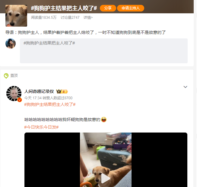 太好笑了，狗狗护主结果把主人咬了