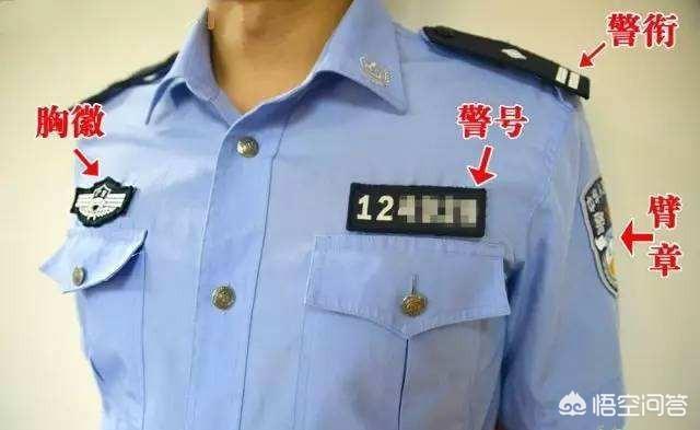 编号查询协警招聘信息_协警警号查询_协警编号查询