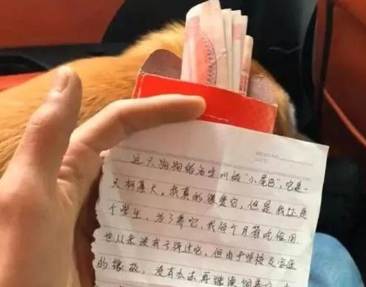捡到只柯基，还有有几百元与一张纸条，纸条内容让人不忍责怪！