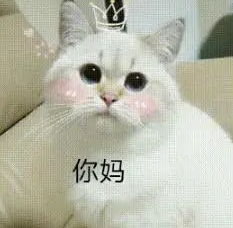 猫爸帅气猫妈漂亮，却生了一只小“丑猫”，主人：你是怎么长的？