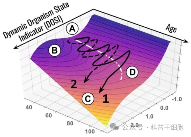 rthdcpl是什么进程_进程是什么的基本单位_进程是指令的集合