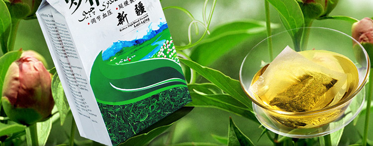 怎样辨别罗布麻茶的真伪