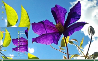 雨林木风xppe_雨林木风xp系统_雨林木风xp安装步骤