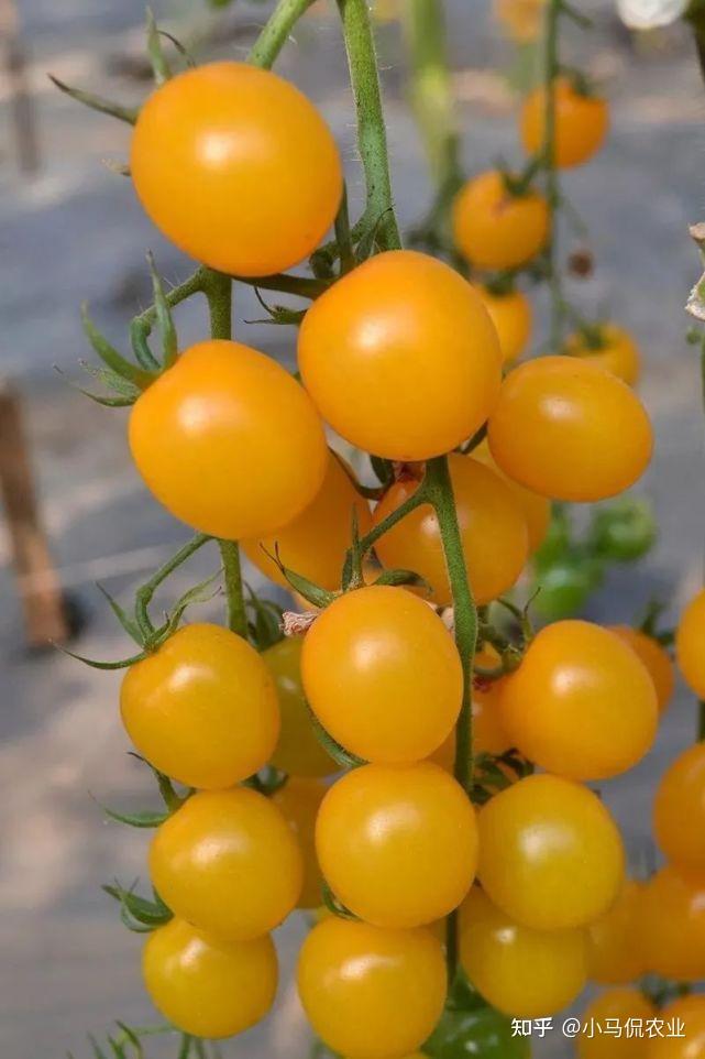 ialmdnt5.dll_ialmdnt5.dll_ialmdnt5.dll