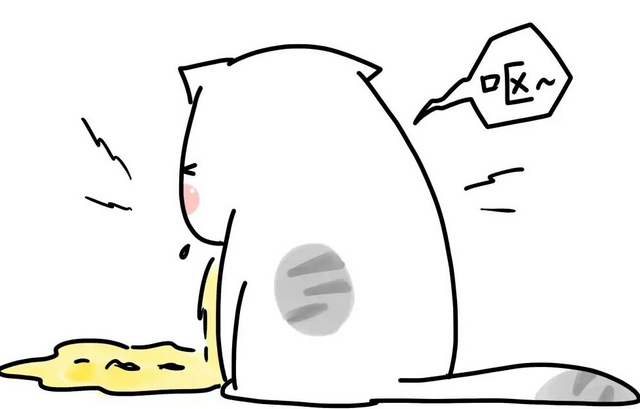 喵星人寄养宠物店 感染猫瘟谁负责？