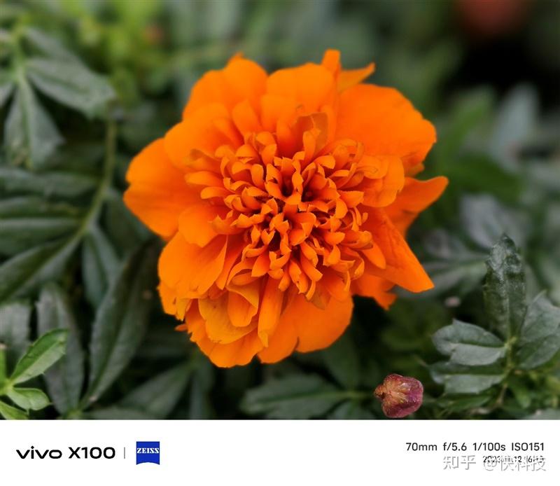 zuk z2 pro 拍照评测_拍照pro功能介绍_评测拍照的白色背景